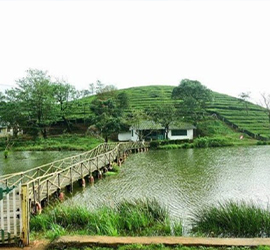 friends-kerala-tour-pakages