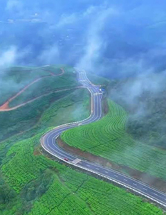 cochin-destinations